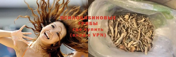 винт Новозыбков