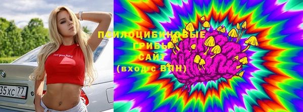 спиды Новокубанск