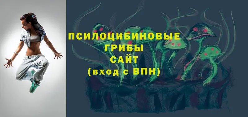 Псилоцибиновые грибы Magic Shrooms  Тюмень 