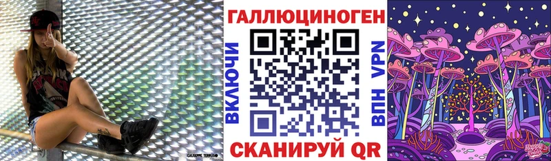 Псилоцибиновые грибы Cubensis Тюмень