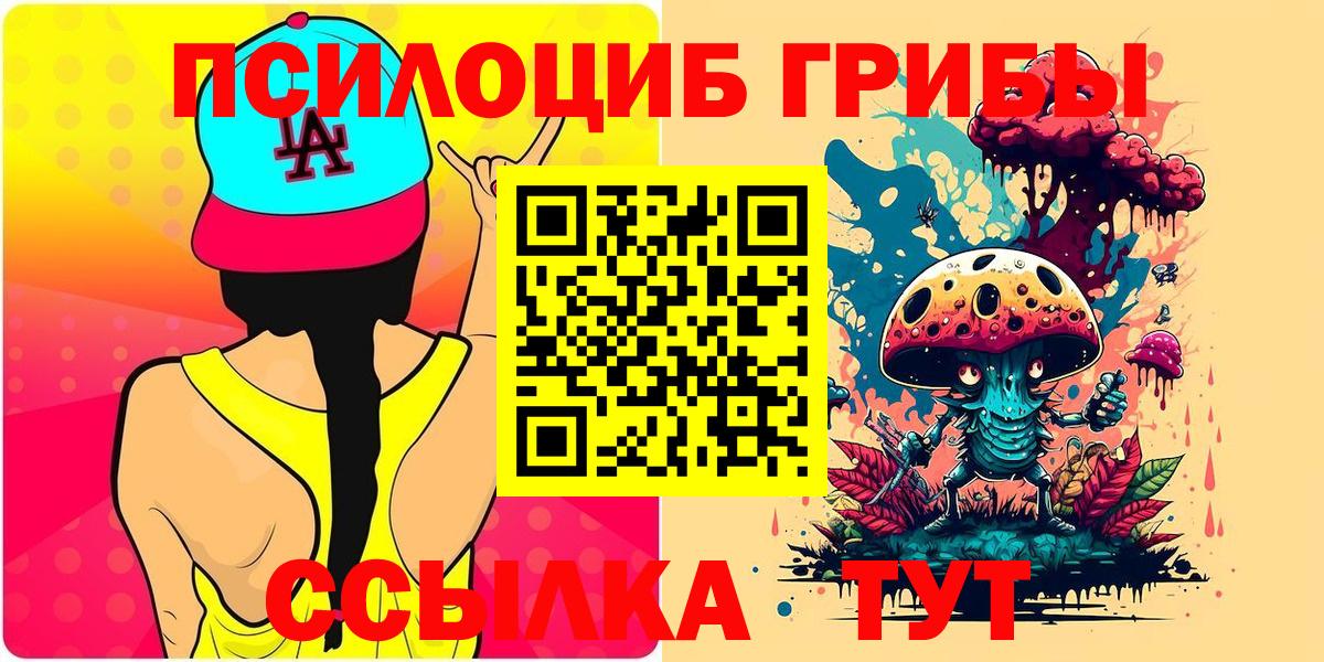 Галлюциногенные грибы Psilocybe Тюмень