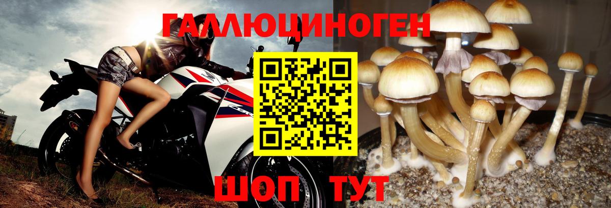 Тюмень  Галлюциногенные грибы мухоморы  Вход с VPN  Псилоцибиновые грибы Magic Shrooms 